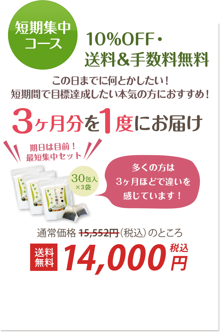 短期集中コース 3ヶ月分を1度にお届け 10%OFF・送料&手数料無料 14,000円 税込